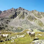 Apartman Nadine-5 By Interhome *