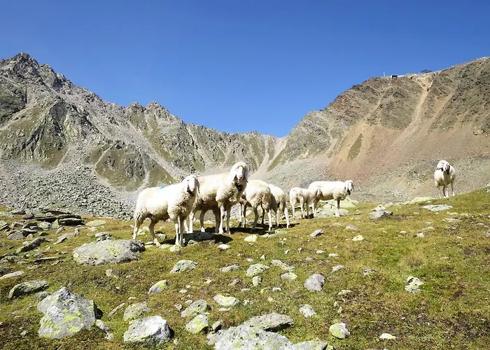 Nadine-5 By Interhome * 索尔登